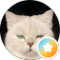 Ashley H. Avatar